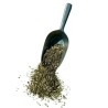 Tisane Cataire plante 250 GRS Nepeta cataria.