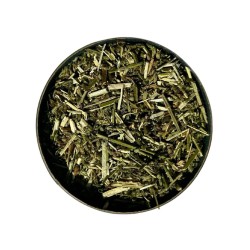 Kräutertee Katzenminze Pflanze 250 GRS Nepeta cataria.