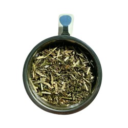Tisane Cataire plante 250 GRS Nepeta cataria.