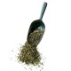 Tisane Cataire plante 1kg (Nepeta cataria) - Sachet de 1kg