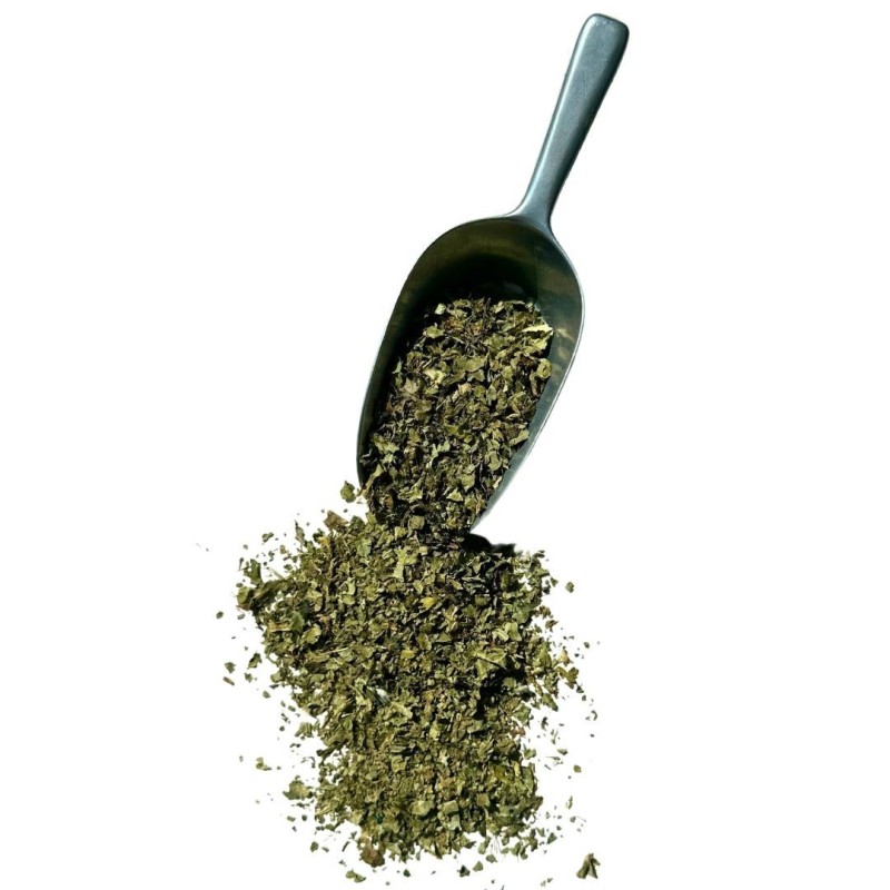 Kräutertee Mariendistel Pflanze 100 GRS Silybum marianum