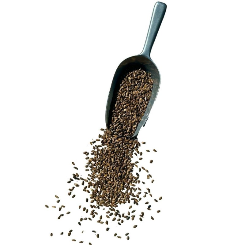 Tisane Chardon Marie semence 250 GRS ENTIERE Silybum marianum.