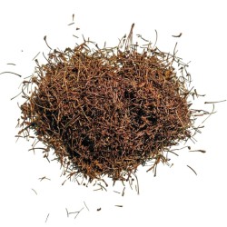Kräutertee Kirsche Ganzer Schwanz 100 GRS Prunus cerasus.