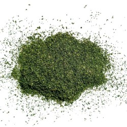 Tisane Cerfeuil feuille 100 GRS Anthriscus cerefolium.