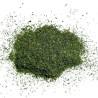 Tisane Cerfeuil feuille 100 GRS Anthriscus cerefolium.