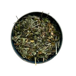 Kräutertee Waldmeister 100 GRS Pflanze Asperula odorata