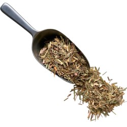 Tisane Citronnelle  plante 1 KILO Cymbopogon citratus.