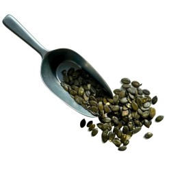 Tisane Kürbissamen 100 GRS VOLLSTÄNDIG DECORTIKIERT.