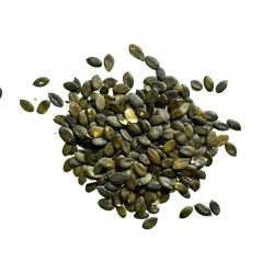 Tisane Kürbissamen 100 GRS VOLLSTÄNDIG DECORTIKIERT.