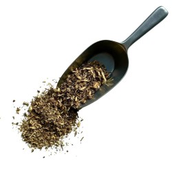 Tisane Echinacéa racine 100 GRS Echinacea.