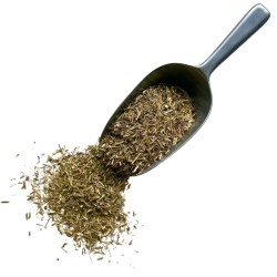 Tisane Erysimum 1 KILO (Herbe aux Chantres) plante Erysimum officinal