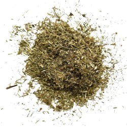 Kräutertee Erysimum 1 KILO (Herbe aux Chantres) Pflanze Erysimum officinal