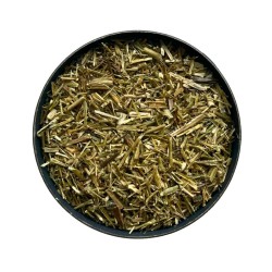 Tisane Erysimum 1 KILO (Herbe aux Chantres) plante Erysimum officinal