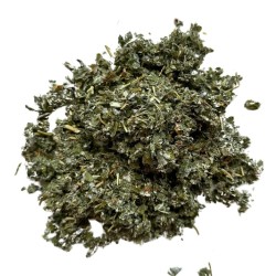 Framboisier (rubus idaeus) - 1Kg
