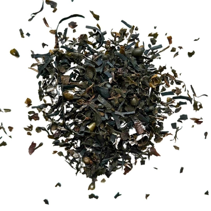 Kräutertee Blasenfukus 1 KILO (Kelp) ThallusFucus vesiculosus