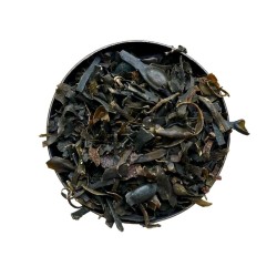 Tisane Fucus vésiculeux 1 KILO (Varech) thalleFucus vesiculosus