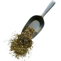 Tisane Fumeterre plante 1 KILO Fumaria officinalis.
