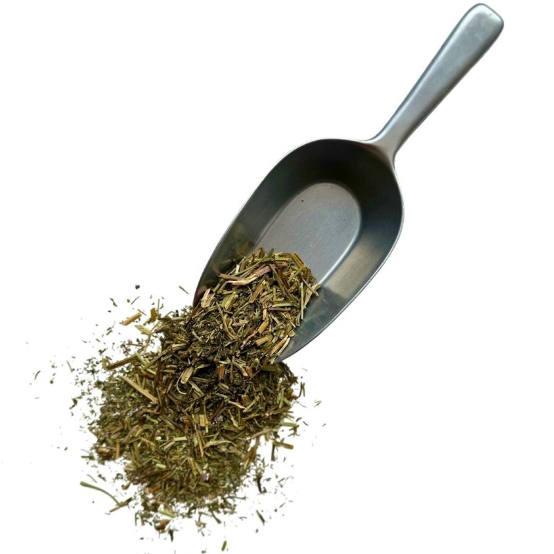 Kräutertee Fumeterre Pflanze 1 KILO Fumaria officinalis.