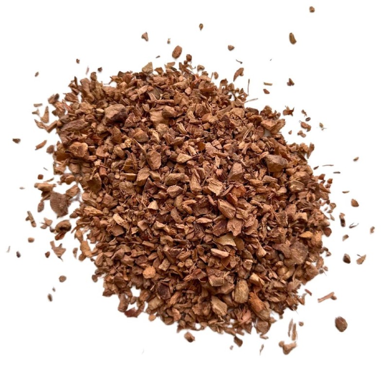 Galanga racine 1Kg - Alpinia officinarum