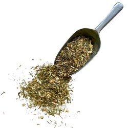 Tisane Galéga plante 1 KILO Galéga officinalis.