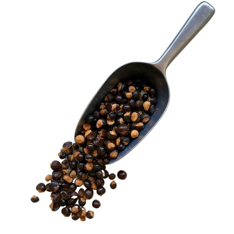 Kräutertee Guarana VOLLSTÄNDIGE SAMEN 1 Kilo Paullinia cupana var.sorbilis