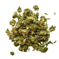 Kräutertee Hopfen Kegel100 GRS Humulus lupulus