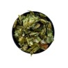 Kräutertee Hopfen Kegel100 GRS Humulus lupulus
