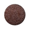 Kräutertee Ispaghul (Rosa Psyllium) Samen 1 KILO Plantago ovata