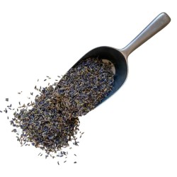 Tisane Lavande fleur triée surchoix 250 GRS Lavandula angustifolia