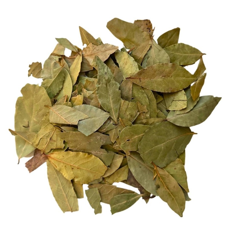 Kräutertee Lorbeerblatt Sauce 250 GRS Laurus nobilis.