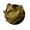 Kräutertee Lorbeerblatt Sauce 250 GRS Laurus nobilis.