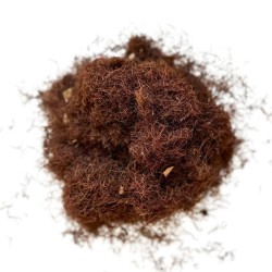 Maïs stigmate ENTIER (Barbe) 100 GRS Zea maïs
