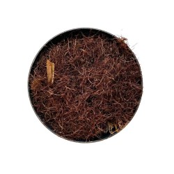 Maïs stigmate ENTIER (Barbe) 100 GRS Zea maïs