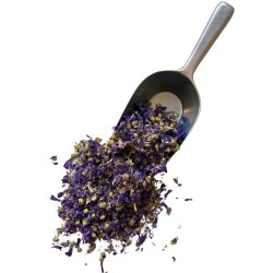 Nordmalve Blüte 50 GRS VOLLSTÄNDIG SUPER CHOIX Malva sylvestris