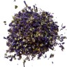 Nordmalve Blüte 50 GRS VOLLSTÄNDIG SUPER CHOIX Malva sylvestris