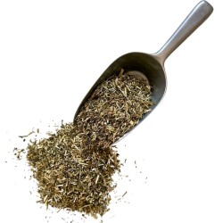 Mélilot Jaune plante 250 GRS Mélilotus officinalis.