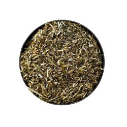 Mélilot Jaune plante 250 GRS Mélilotus officinalis.