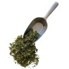 Melisse Ganzes Blatt 50 GRS Melissa officinalis
