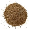 Moutarde blanche (Moutarde Anglaise) graine ENTIERE 100 g Sinapi