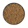 Moutarde blanche (Moutarde Anglaise) graine ENTIERE 100 g Sinapi