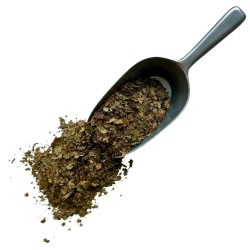 Noyer feuille 250 grs Juglans regia
