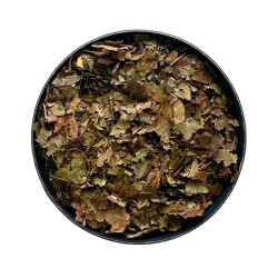 Noyer feuille  100 g Juglans regia