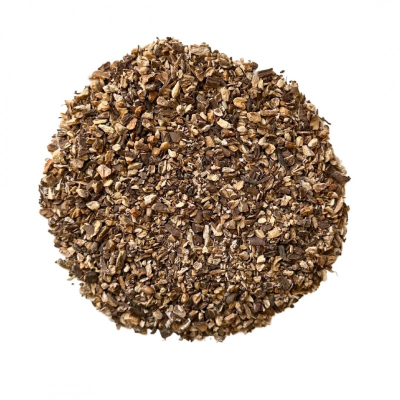 Bardana: propiedades en fitoterapia, beneficios y usos