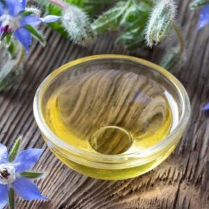 La Bourrache: botanique, bienfaits et usage de la bourrache