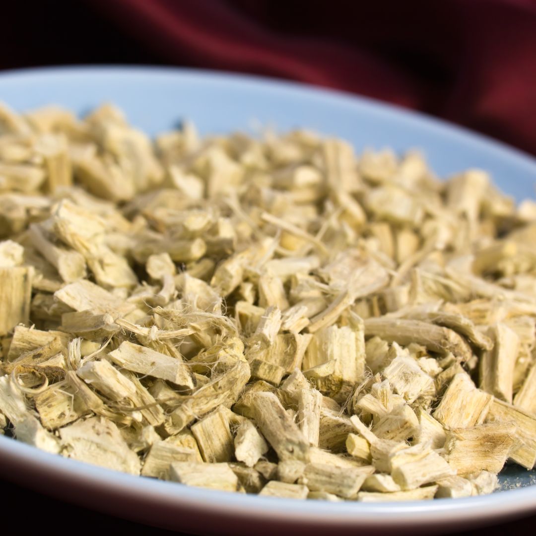 Malvavisco: propiedades, usos y botánica de esta planta