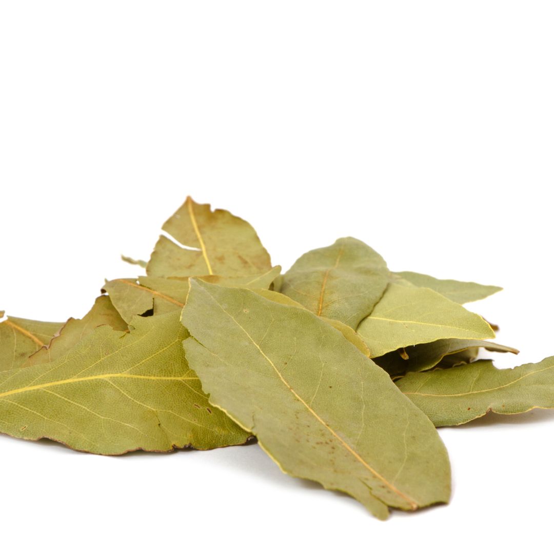 Laurel: sus usos y beneficios