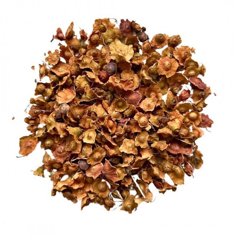 Paliure: beneficios, uso y posología