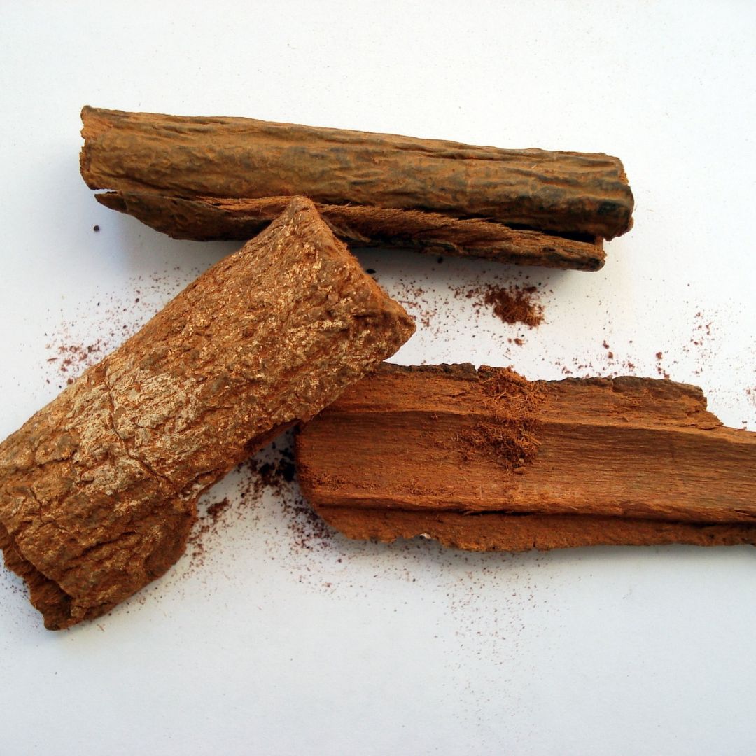 Quinquina: beneficios y usos en fitoterapia