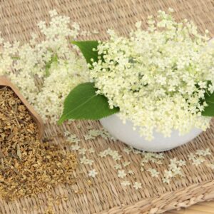 La Reine des Prés : origine, préparation et bienfaits