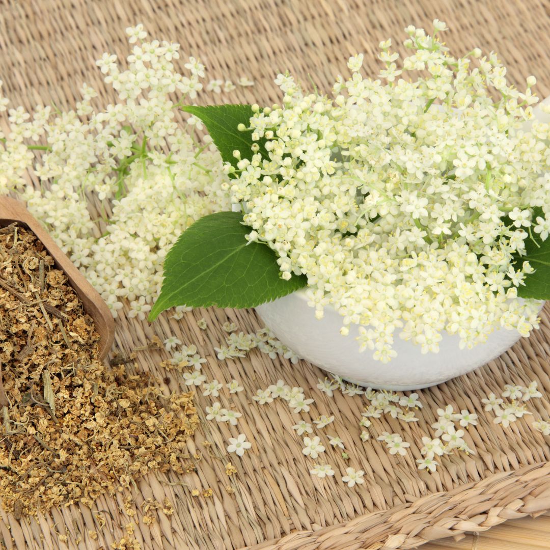 Reina de los prados: origen, preparación y beneficios